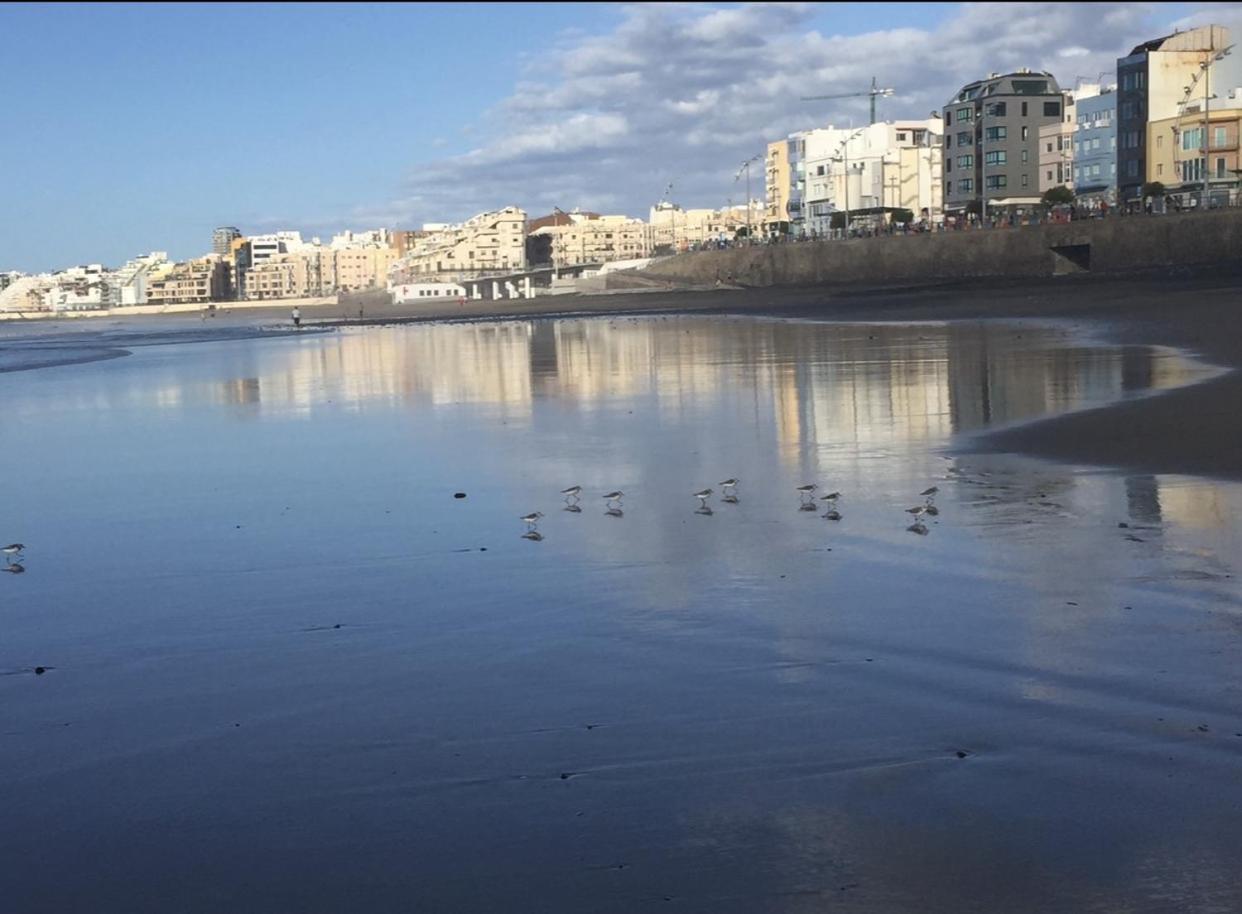 Las Canteras Beach Las Palmas de Gran Canaria Exterior photo